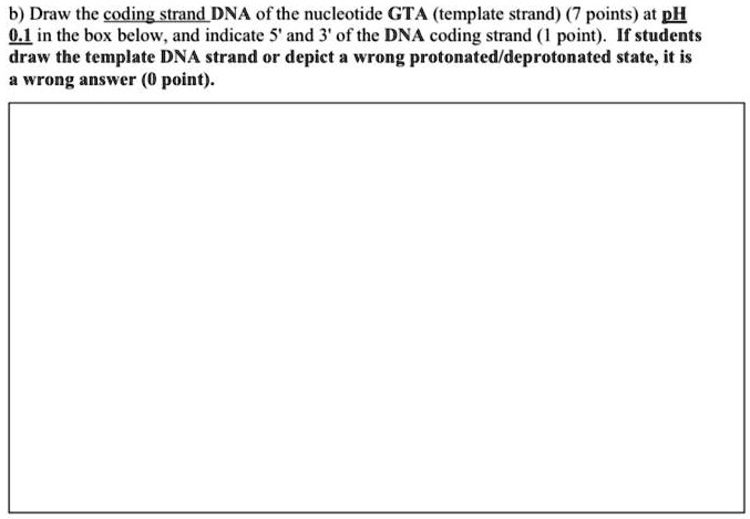 Solved Draw The Coding Strand Dna Of The Nucleotide Gta Template Strand At Ph 01 And