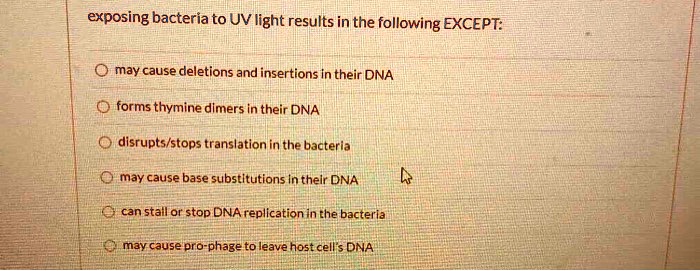exposing bacteria to UV light results in the following EXCEPT:

may cause deletions and insertions in their DNA
forms thymine dimers in their DNA
disrupts/stops translation in the bacteria
may cause base substitutions in their DNA
can stall or stop DNA replication in the bacteria
may cause pro-phage to leave host cell's DNA