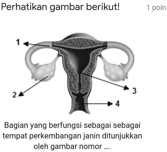 Solved Bantuin Ya Guys Makasii Perhatikan Gambar Berikutl 2 Bagian