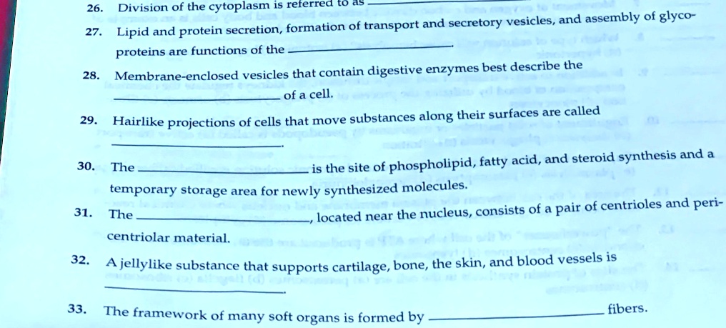 26. Division of the cytoplasm is referred to as 
27. Lipid and protein secretion, formation of transport and secretory vesicles, and assembly of glyco-
proteins are functions of the 
28. Membrane-enclosed vesicles that contain digestive enzymes best describe the 
 of a cell.
29. Hairlike projections of cells that move substances along their surfaces are called 

30. The  is the site of phospholipid, fatty acid, and steroid synthesis and a
temporary storage area for newly synthesized molecules.
31. The , located near the nucleus, consists of a pair of centrioles and peri-
centriolar material.
32. A jellylike substance that supports cartilage, bone, the skin, and blood vessels is 

33. The framework of many soft organs is formed by  fibers.