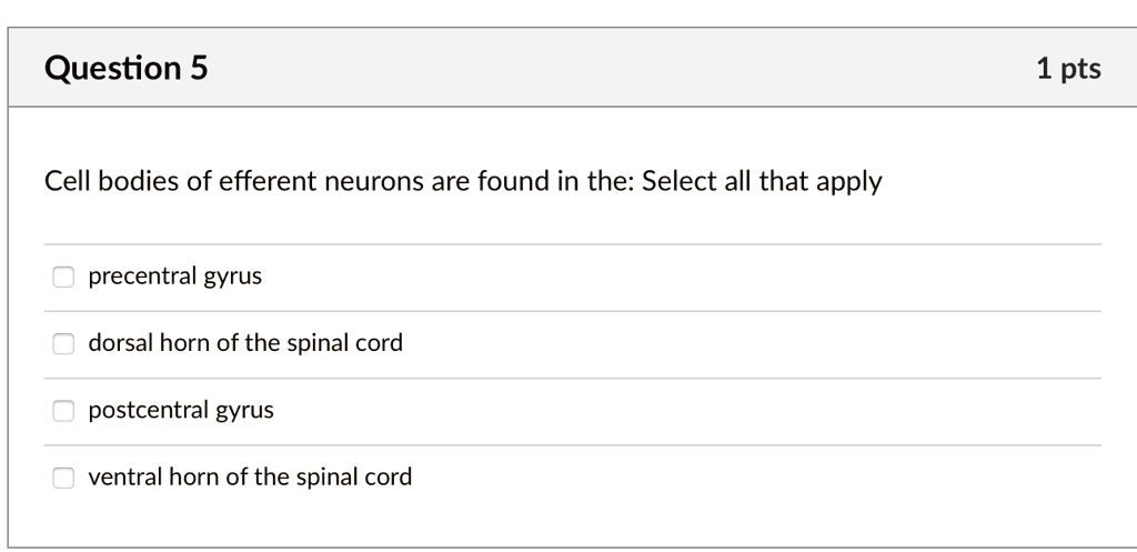 Cell bodies of efferent neurons are found in the: Select all that apply

precentral gyrus
dorsal horn of the spinal cord
postcentral gyrus
ventral horn of the spinal cord