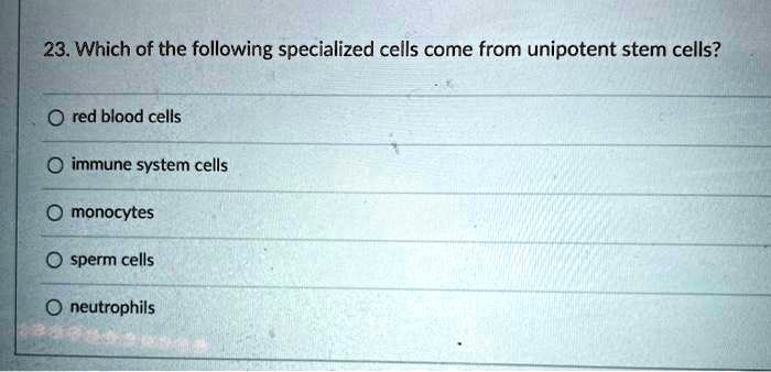 23. Which of the following specialized cells come from unipotent stem cells?

red blood cells
immune system cells
monocytes
sperm cells
neutrophils