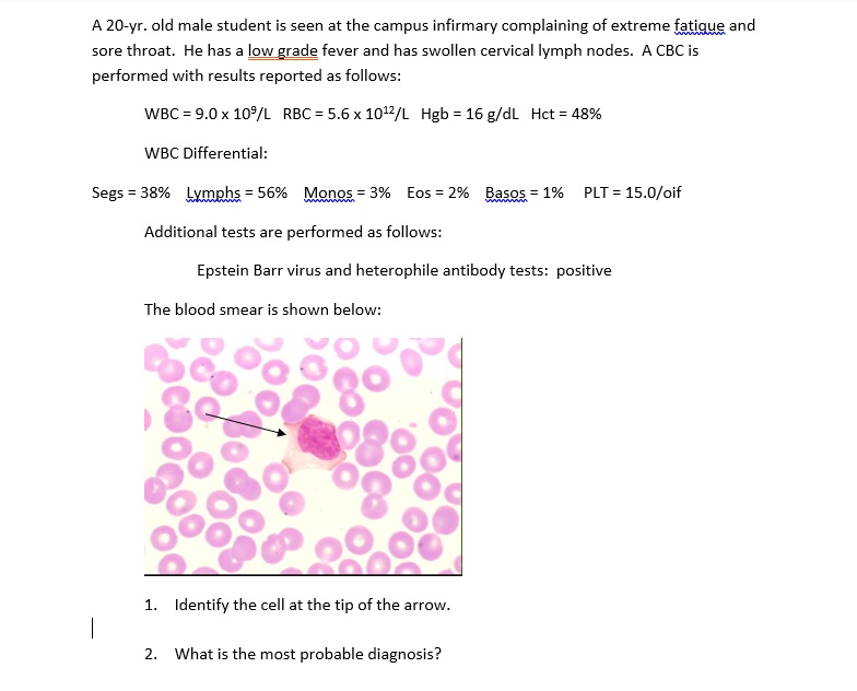 SOLVED A 20yearold male student is seen at the campus infirmary