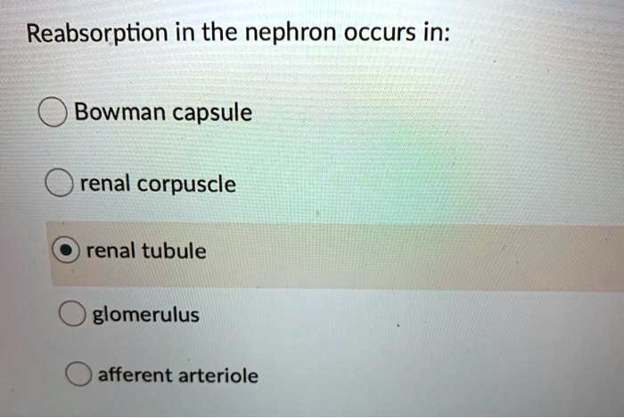 SOLVED: Reabsorption in the nephron occurs in Bowman capsule renal ...