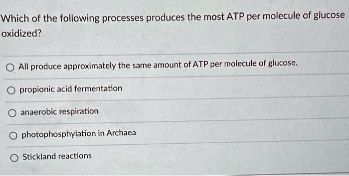 which of the following processes produces the most atp per 