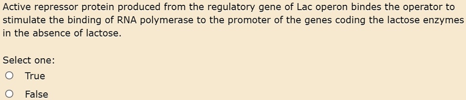 Active repressor protein produced from the regulatory gene of Lac operon bindes the operator to stimulate the binding of RNA polymerase to the promoter of the genes coding the lactose enzymes in the absence of lactose.
True
False