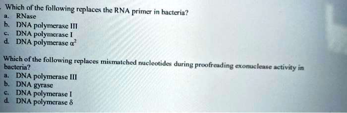 Which of the following replaces the RNA primer in bacteria?
a. RNase
b. DNA polymerase III
c. DNA polymerase I
d. DNA polymerase ?²

Which of the following replaces mismatched nucleotides during proofreading exonuclease activity in bacteria?
a. DNA polymerase III
b. DNA gyrase
c. DNA polymerase I
d. DNA polymerase ?