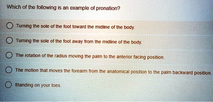 Which of the following is an example of pronation?
Turning the sole of the foot toward the midline of the body.
Turning the sole of the foot away from the midline of the body.
The rotation of the radius moving the palm to the anterior facing position.
The motion that moves the forearm from the anatomical position to the palm backward position.
Standing on your toes.