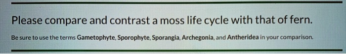 Please compare and contrast a moss life cycle with that of fern.

Be sure to use the terms Gametophyte, Sporophyte, Sporangia, Archegonia, and Antheridea in your comparison.