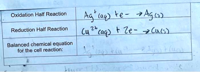 SOLVED: Oxidation Half Reaction Ag'(4p) +e aAgo) Reduction Half ...