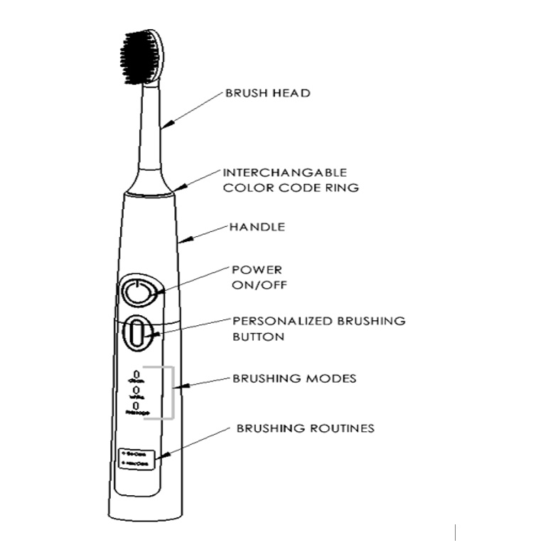 BRUSH HEAD INTERCHANGABLE COLOR CODE RING HANDLE POWER ON/OFF ...