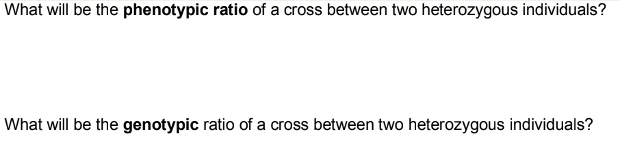 What will be the phenotypic ratio of a cross between two heterozygous individuals?

What will be the genotypic ratio of a cross between two heterozygous individuals?