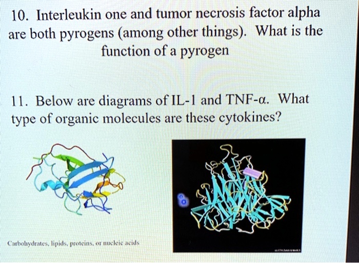 SOLVED: 10. Interleukin one and tumor necrosis factor alpha are both ...