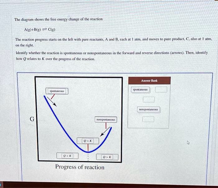 The Diagram Shows The Free Energy Change Of The Reaction Ag + BgC(g ...