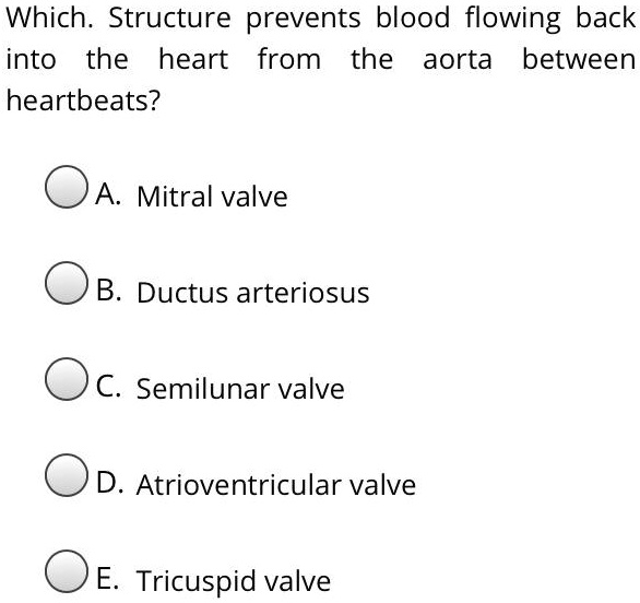 SOLVED Which Structure prevents blood flowing back into the heart