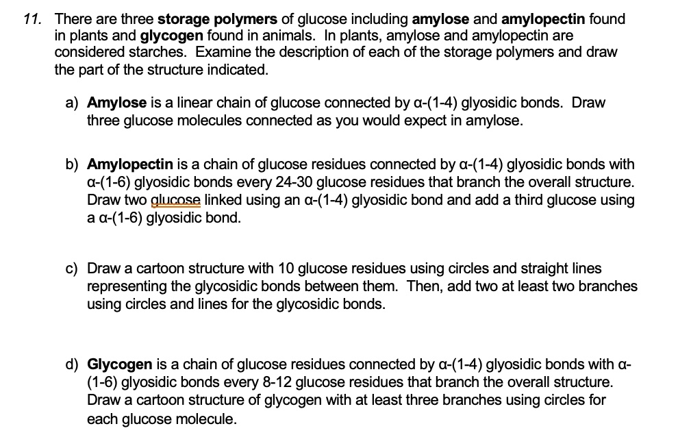 Solved: 11. There Are Three Storage Polymers Of Glucose, Including 