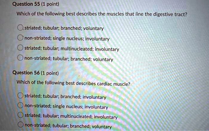 Which of the following best describes the muscles that line the digestive tract?
striated; tubular; branched; voluntary
non-striated; single nucleus; involuntary
striated; tubular; multinucleated; involuntary
non-striated; tubular; branched; voluntary
Which of the following best describes cardiac muscle?
striated; tubular; branched; involuntary
non-striated; single nucleus; involuntary
striated; tubular; multinucleated; involuntary
non-striated; tubular; branched; voluntary