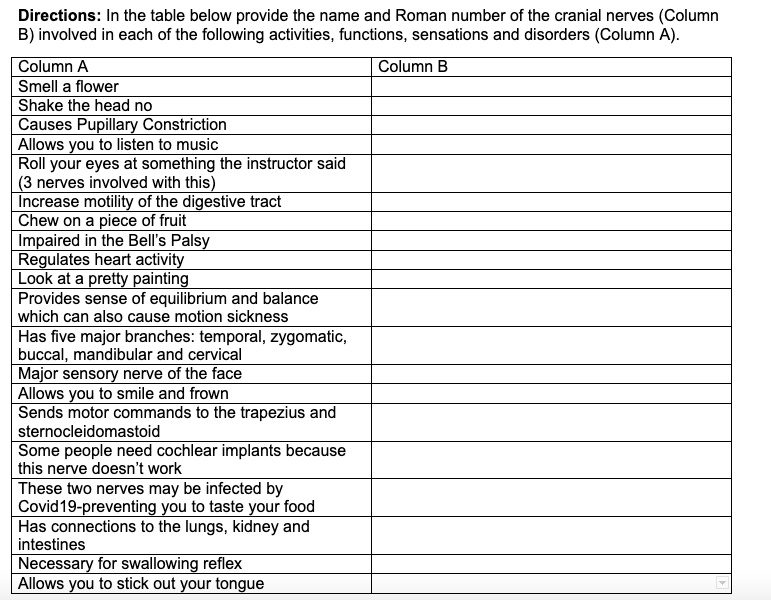 Directions: In the table below provide the name and Roman number of the cranial nerves (Column B) involved in each of the following activities, functions, sensations and disorders (Column A).

Column A | Column B
—|—
Smell a flower |
Shake the head no |
Causes Pupillary Constriction |
Allows you to listen to music |
Roll your eyes at something the instructor said (3 nerves involved with this) |
Increase motility of the digestive tract |
Chew on a piece of fruit |
Impaired in the Bell's Palsy |
Regulates heart activity |
Look at a pretty painting |
Provides sense of equilibrium and balance which can also cause motion sickness |
Has five major branches: temporal, zygomatic, buccal, mandibular and cervical |
Major sensory nerve of the face |
Allows you to smile and frown |
Sends motor commands to the trapezius and sternocleidomastoid |
Some people need cochlear implants because this nerve doesn't work |
These two nerves may be infected by Covid19-preventing you to taste your food |
Has connections to the lungs, kidney and intestines |
Necessary for swallowing reflex |
Allows you to stick out your tongue |
