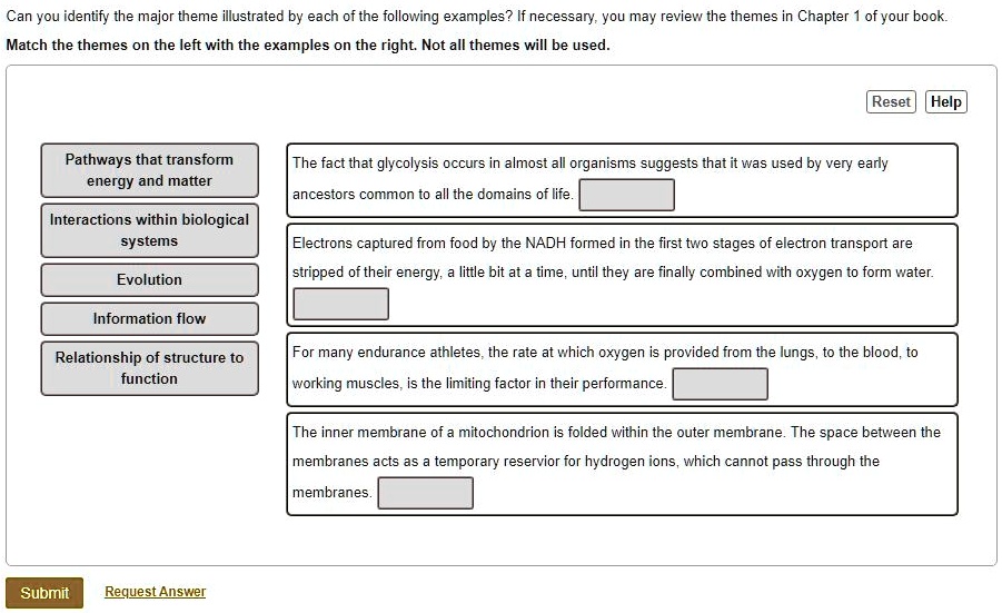 SOLVED Can you identify the major theme illustrated by each of the