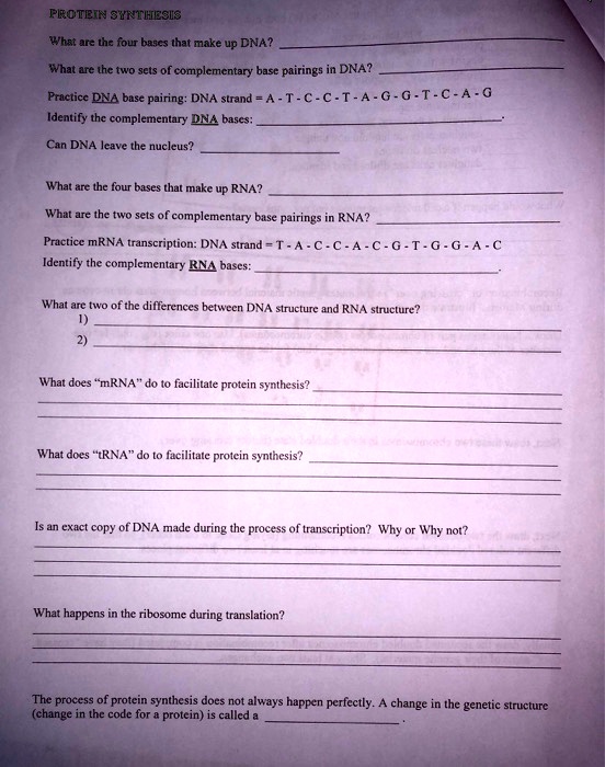 Protein synthesis review worksheet answers