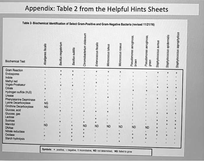 Biochemical Test and Identification of Staphylococcus aureus