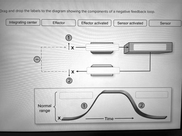 Drag and drop the labels to the diagram showing the components of a ...