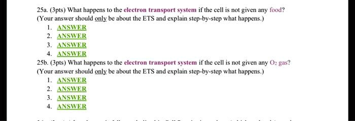 SOLVED:25a. (Jpts) What happens to the electron transport system ifthe ...