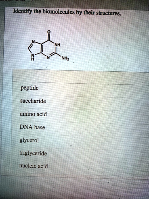 SOLVED Identify the biomolecules by their structures. peptide