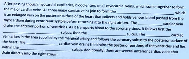 After passing though myocardial capillaries, blood enters small myocardial veins, which come together to form the major cardiac veins. All three major cardiac veins join to form the   which is an enlarged vein on the posterior surface of the heart that collects and holds venous blood pushed from the myocardium during ventricular systole before returning it to the right atrium. The  cardiac vein drains the anterior portion of ventricles. As it transports blood to the coronary sinus, it follows first the   sulcus, then the   sulcus. The  cardiac vein arises in the area supplied by the marginal artery and follows the coronary sulcus to the posterior surface of the heart. The  cardiac vein drains the drains the posterior portions of the ventricles and lies within the   sulcus. Additionally, there are several anterior cardiac veins that drain directly into the right atrium.