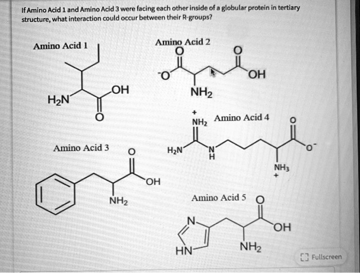 SOLVED If Amino Acid and Amino Acid were facing each other inside of a