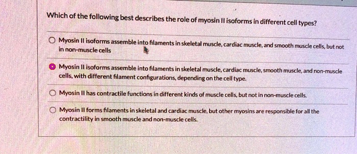 Which of the following best describes the role of myosin II isoforms in different cell types?
Myosin II isoforms assemble into filaments in skeletal muscle, cardiac muscle, and smooth muscle cells, but not in non-muscle cells
Myosin II isoforms assemble into filaments in skeletal muscle, cardiac muscle, smooth muscle, and non-muscle cells, with different filament configurations, depending on the cell type.
Myosin II has contractile functions in different kinds of muscle cells, but not in non-muscle cells.
Myosin II forms filaments in skeletal and cardiac muscle, but other myosins are responsible for all the contractility in smooth muscle and non-muscle cells.