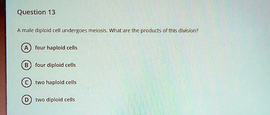 Question 13
A male diploid cell undergoes meiosis. What are the products of this division?
A) four haploid cells
B) four diploid cells
C) two haploid cells
D) two diploid cells