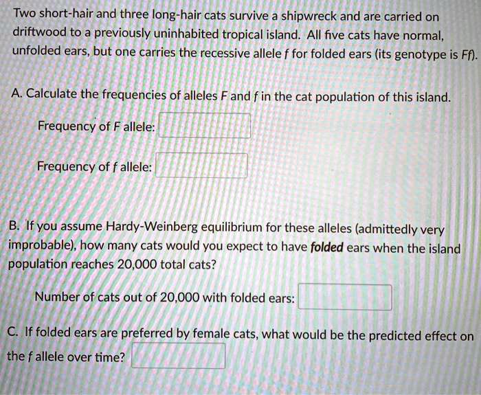 Two short hair and three long hair cats survive a shipwreck...