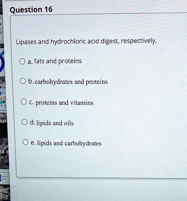 SOLVED Lipases and hydrochloric acid digest, respectively, a. fats and