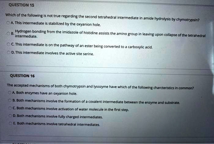 QUESTION 15
Which of the following is not true regarding the second tetrahedral intermediate in amide hydrolysis by chymotrypsin?
A. This intermediate is stabilized by the oxyanion hole.
B. Hydrogen bonding from the imidazole of histidine assists the amino group in leaving upon collapse of the tetrahedral
intermediate.
C. This intermediate is on the pathway of an ester being converted to a carboxylic acid.
D. This intermediate involves the active site serine.
QUESTION 16
The accepted mechanisms of both chymotrypsin and lysozyme have which of the following charcteristics in common?
A. Both enzymes have an oxyanion hole.
B. Both mechanisms involve the formation of a covalent intermediate between the enzyme and substrate.
C. Both mechanisms involve activation of water molecule in the first step.
D. Both mechanisms involve fully charged intermediates.
E. Both mechanisms involve tetrahedral intermediates.