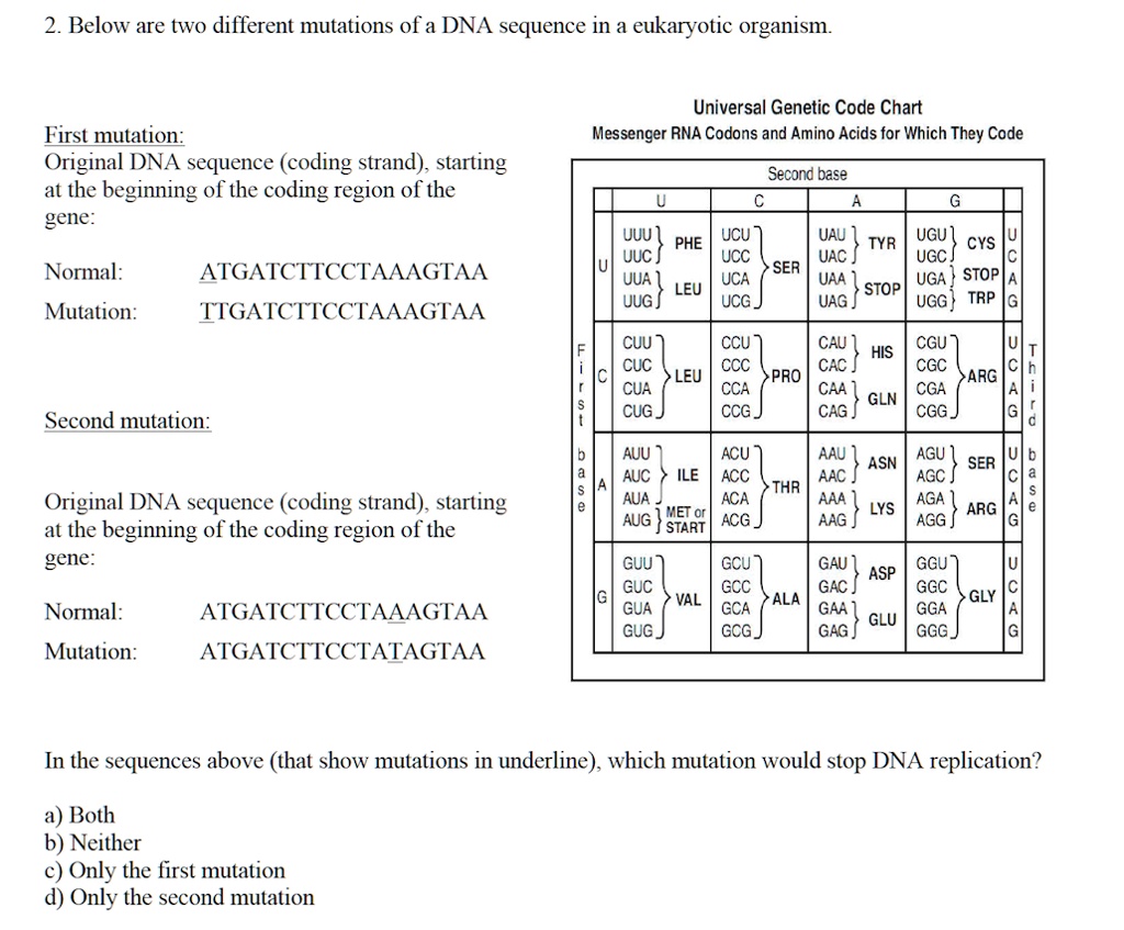 dna code chart