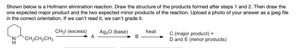 SOLVED: Shown below is a Hofmann elimination reaction Draw the ...