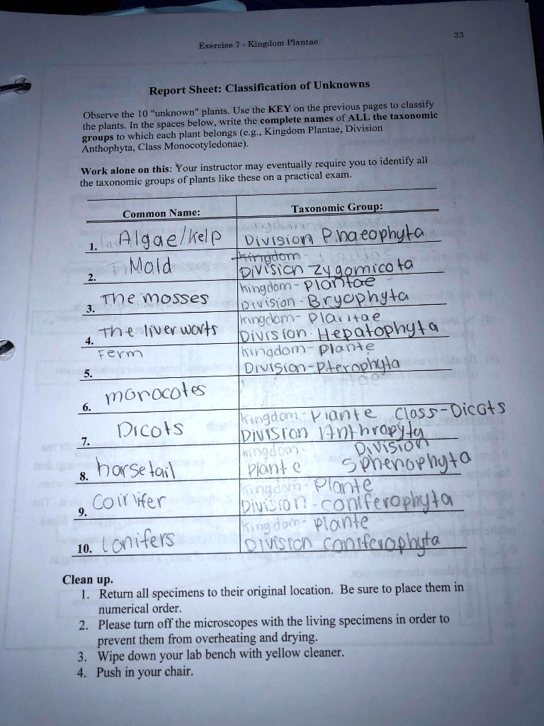 Report Sheet: Classification of Unknowns
Observe the 10 "unknown" plants. Use the KEY on the previous pages to classify the plants. In the spaces below, write the complete names of ALL the taxonomic groups to which each plant belongs (e.g., Kingdom Plantae, Division Anthophyta, Class Monocotyledonae).
Work alone on this: Your instructor may eventually require you to identify all the taxonomic groups of plants like these on a practical exam.
Common Name: / Taxonomic Group:
1. Algae/kelp / Division Phaeophyta
2. Mold / Division Zygomicota
3. The mosses / kingdom-Plantae Division-Bryophyta
4. The liverworts / kingdom-Plantae Division-Hepatophyta
5. Fern / kingdom-Plante Division-Pterophyta
6. monocotes /
7. Dicots / kingdom-Plante Class-Dicots Division Anthrophyta
8. horsetail / kingdom Plante Division Sphenophyta
9. Conifer / kingdom-Plante Division-coniferophyta
10. Conifers / kingdom-Plante Division coniferophyta
Clean up.
1. Return all specimens to their original location. Be sure to place them in numerical order.
2. Please turn off the microscopes with the living specimens in order to prevent them from overheating and drying.
3. Wipe down your lab bench with yellow cleaner.
4. Push in your chair.
