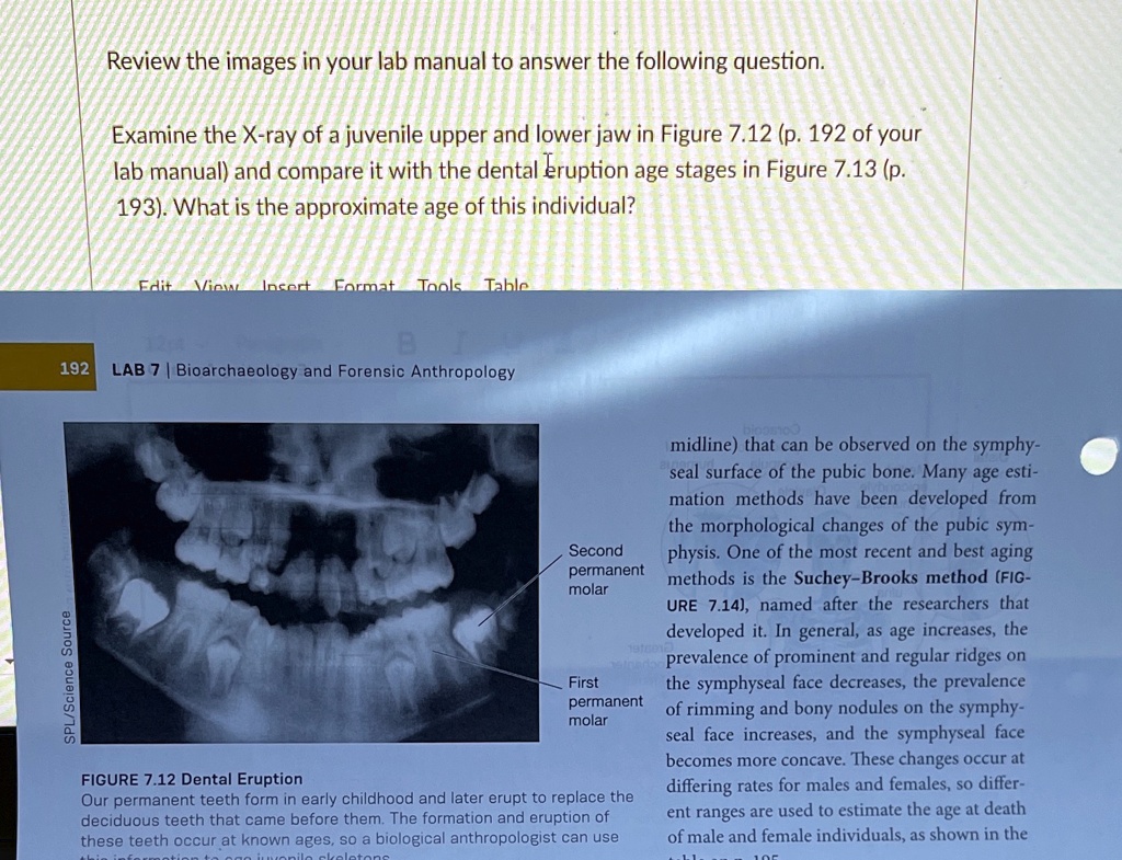 SOLVED: Review the images in your lab manual to answer the following ...