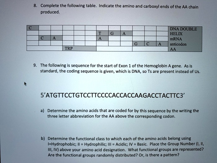 the following table _ Indicate the amino and carboxyl ends of the AA chain