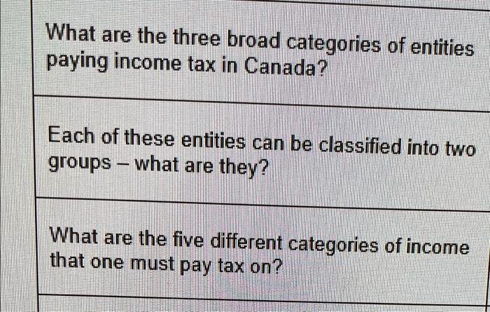 SOLVED: What are the three broad categories of entities paying income ...
