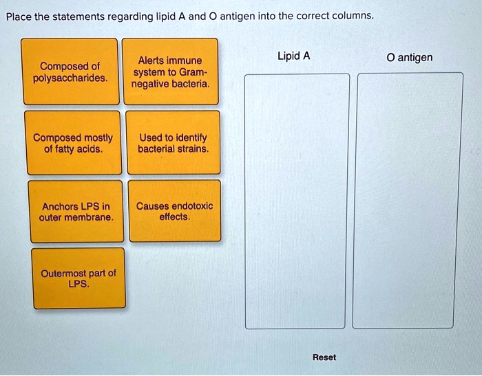SOLVED: Place the statements regarding lipid A and O antigen into the