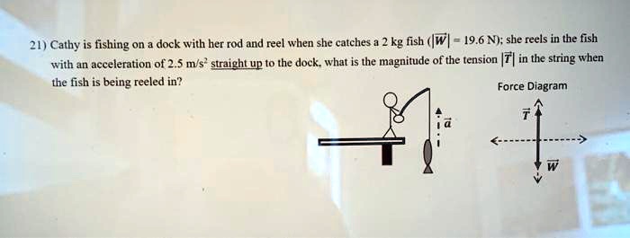 Reel Schematic  Fishing reels, Math, Fish