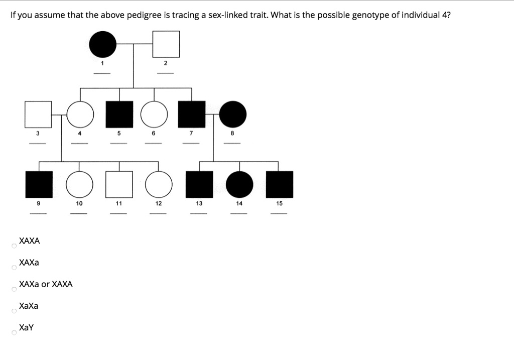 If you assume that the above pedigree is tracing a sex-linked trait. What is the possible genotype of individual 4?
1 2
3 4 5 6 7 8
9 10 11 12 13 14 15
XAXA
XAXa
XAXa or XAXA
XaXa
XaY