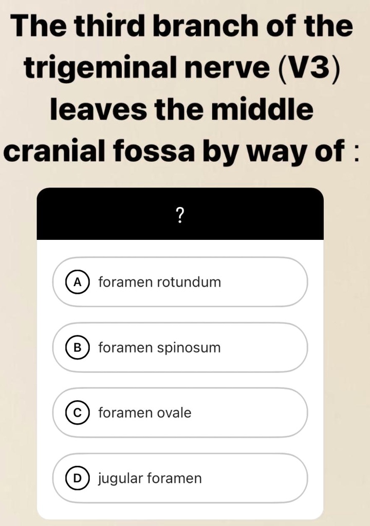 SOLVED: The third branch of the trigeminal nerve (V3) leaves the middle ...