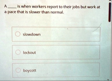 a  is when workers report to their jobs but work at a pace that is slower than normal slowdown lockout boycott 53116