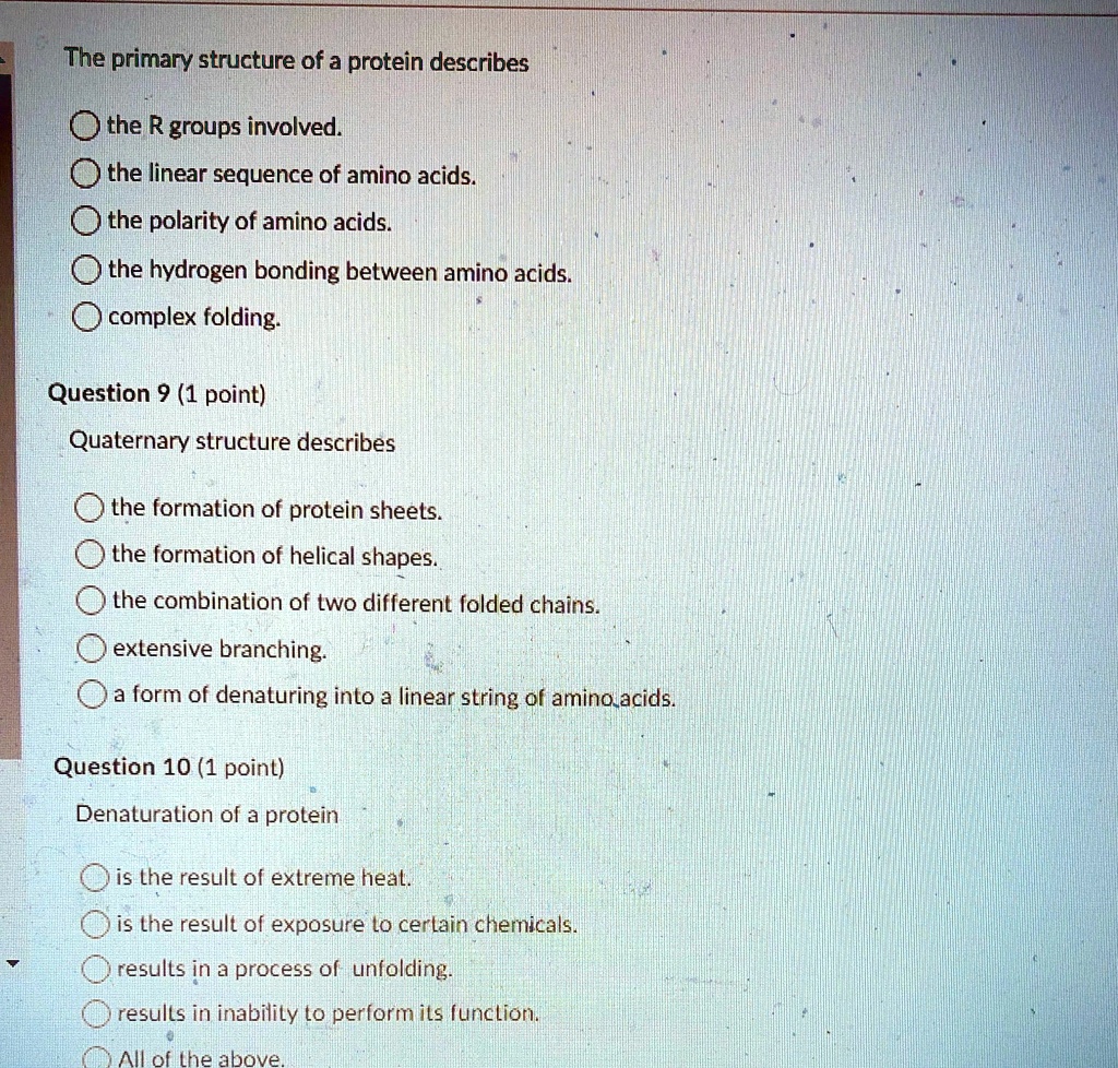 The primary structure of a protein describes the R groups involved. the ...
