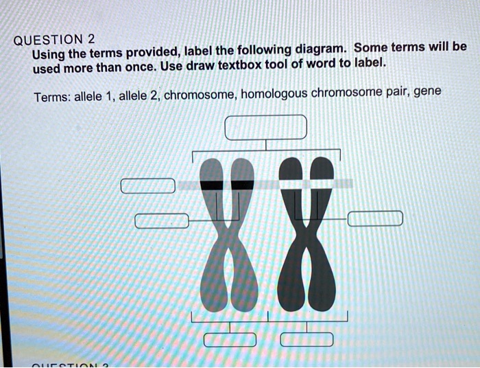 SOLVED: QUESTION Using the terms provided; label the following diagram