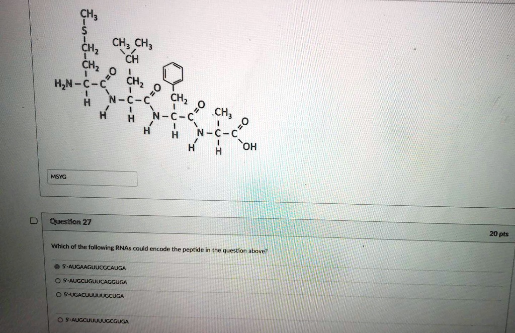 MSYG
Question 27
Which of the following RNAs could encode the peptide in the question above?
5'-AUGAAGUUCGCAUGA
5'-AUGCUGUUCAGGUGA
5'-UGACUUUUUGCUGA
5'-AUGCUUUUUGCGUGA