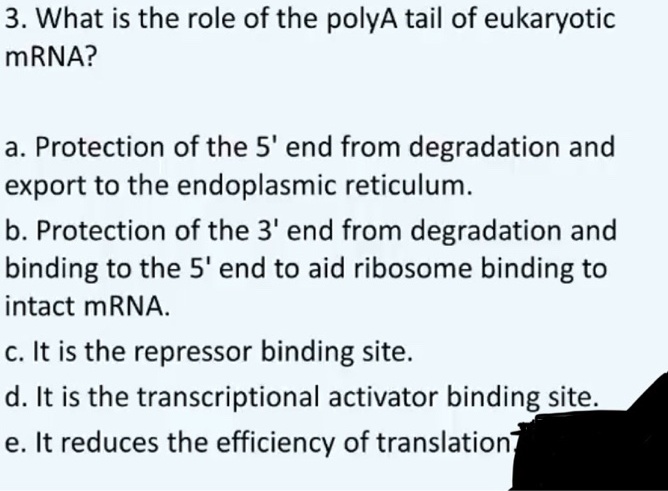SOLVED: 3. What is the role of the polyA tail of eukaryotic mRNA? a ...